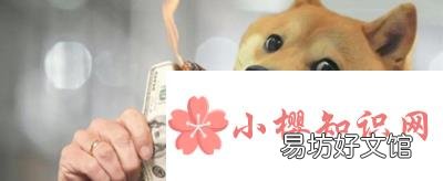 狗狗币在哪个平台能买？