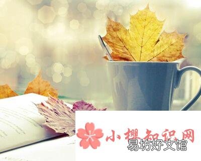 送女孩子什么礼物好?