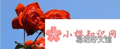 送女孩子什么礼物好?