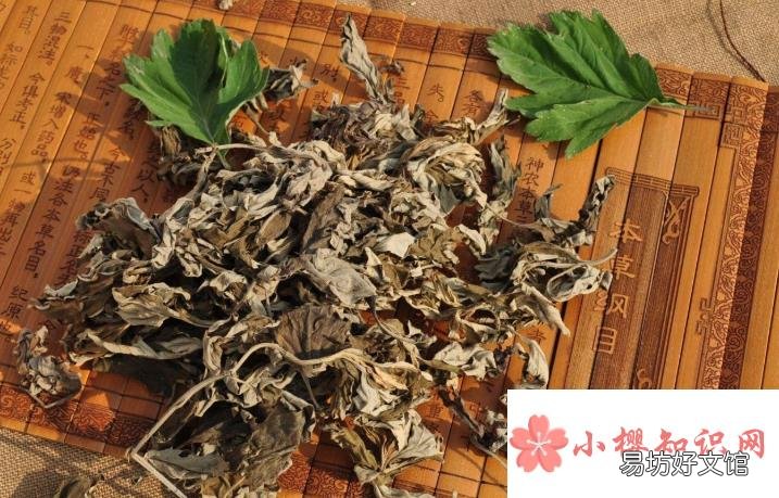 蜈蚣怕什么?怎么防止它进入卧室?