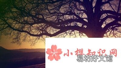 简单干净的文案有哪些?
