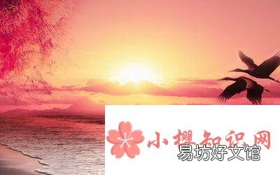 简单干净的文案有哪些?