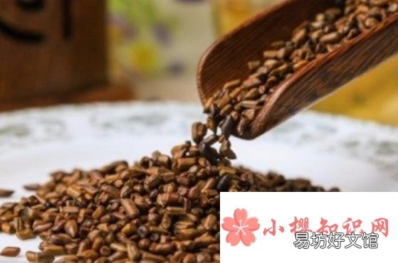决明子的六大禁忌是什么？