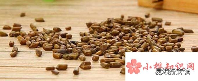 决明子的六大禁忌是什么？