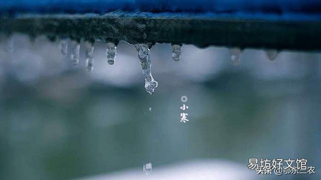 农村俗话“小寒雨蒙蒙,明年春天倒春寒”,农业生产该注意什么?