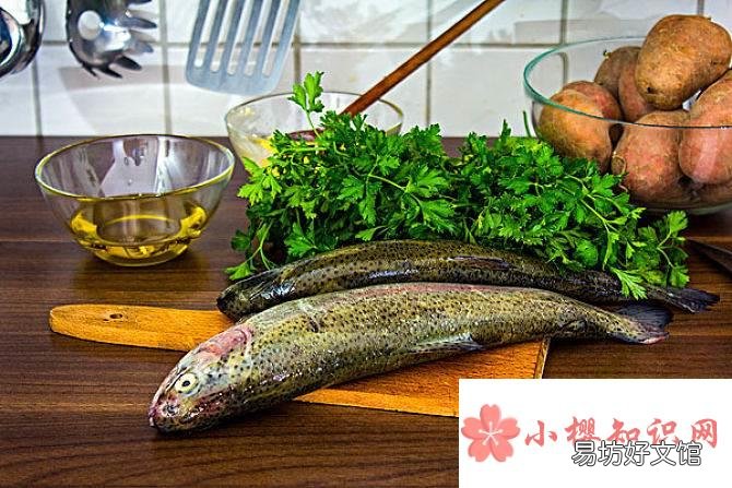 13种下奶的食物是什么?