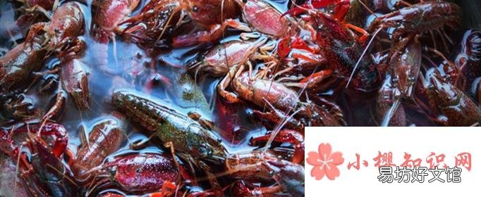 小龙虾怎么清洗和处理?