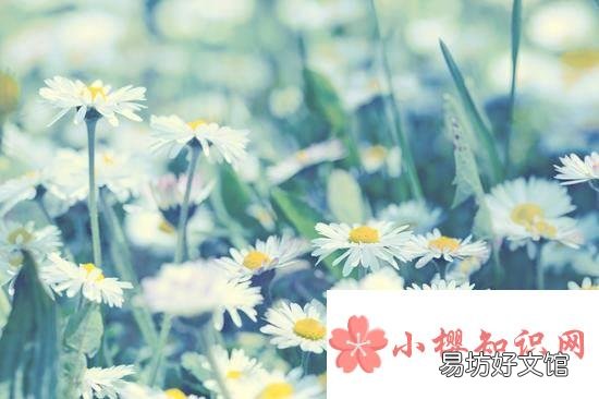 文艺简约的昵称有哪些?