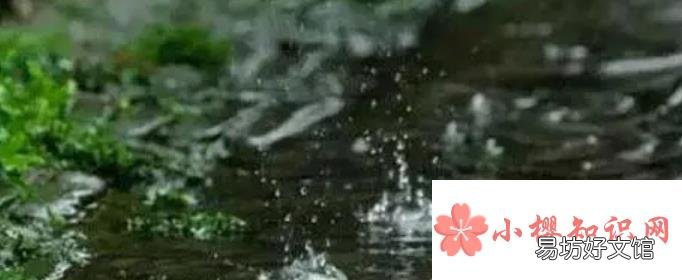 关于下雨的农谚或俗语有哪些?