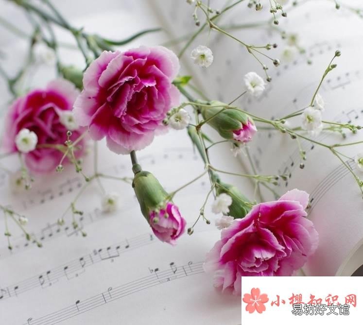 教师节礼物送什么实用?