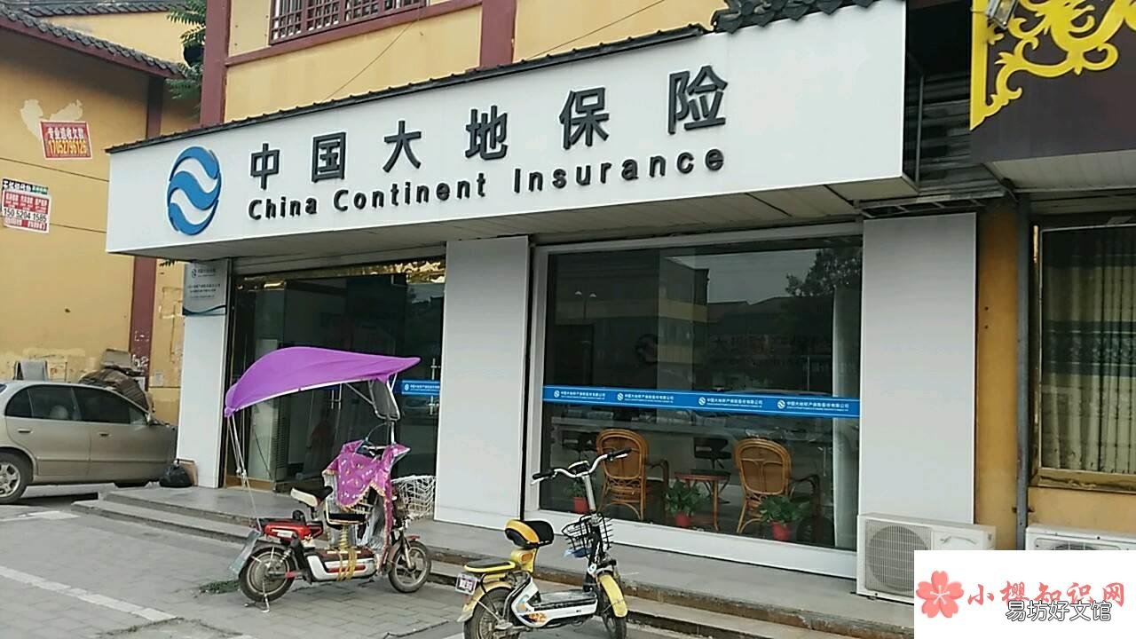 中国大地保险怎么样?