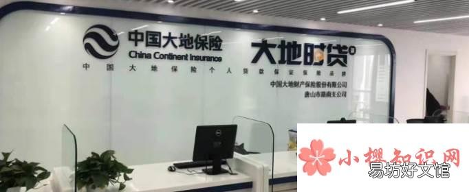 中国大地保险怎么样?