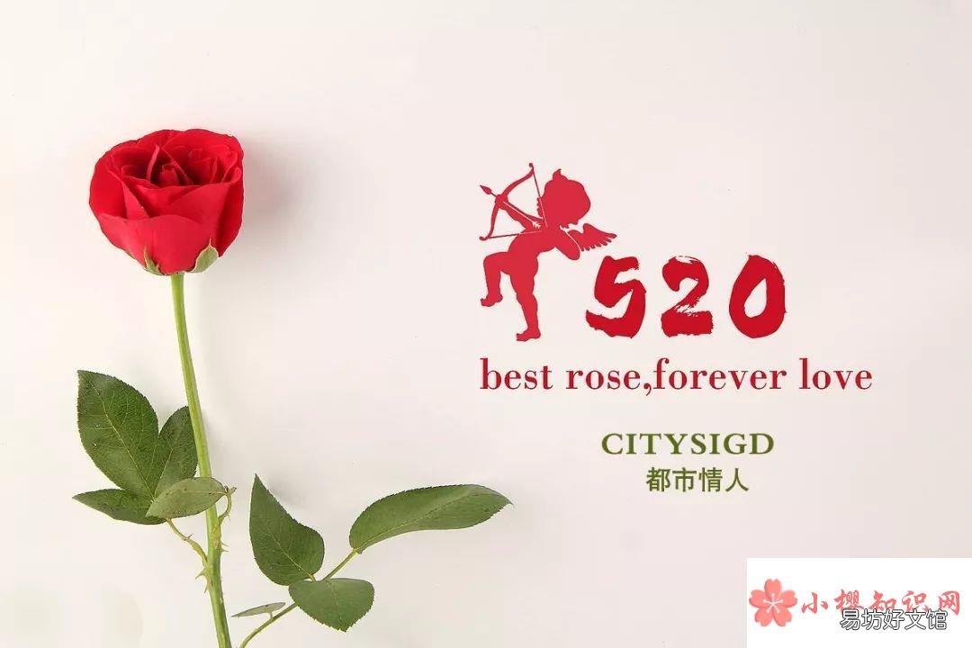 520表白浪漫的句子有哪些？