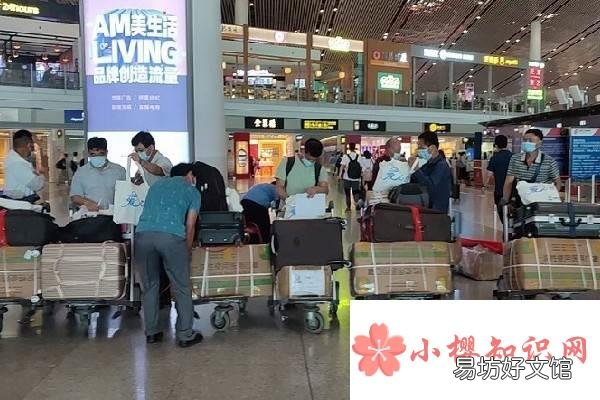 出国打工去哪个国家好?