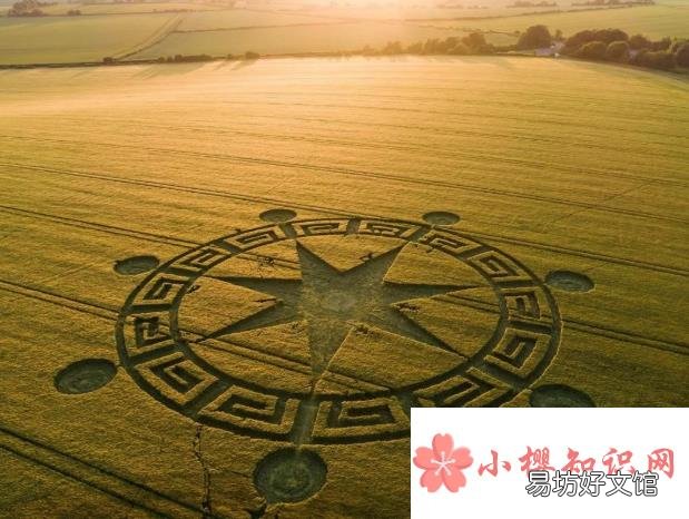 大自然的奇妙现象有哪些?