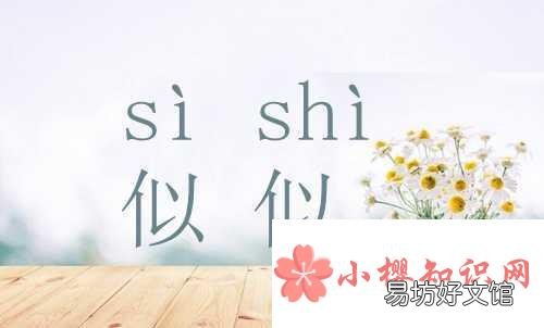 似的读音是si还是shi？