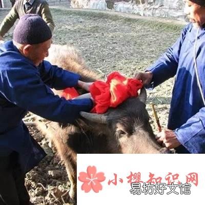 說春是石阡哪個民族傳下來的？