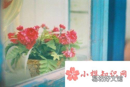 正能量暖心的哲理句子有哪些?