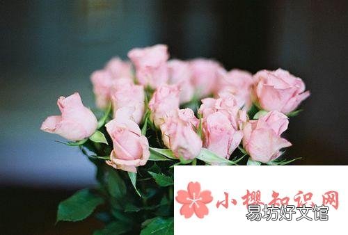 正能量暖心的哲理句子有哪些?
