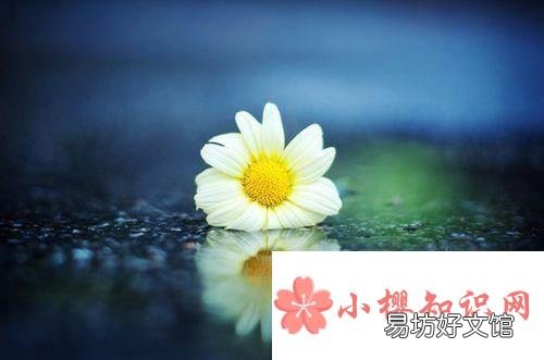 正能量暖心的哲理句子有哪些?