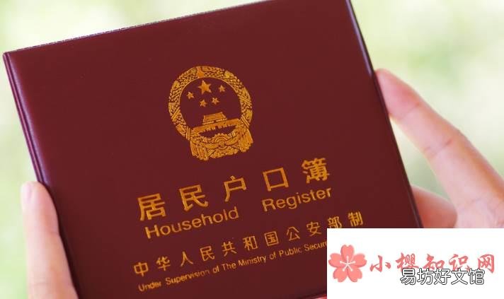 改名字需要什么手续？