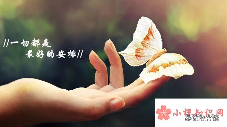 人人爱我我爱人人的意思是什么?