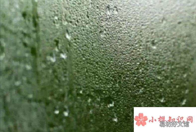 冬天窗户玻璃有水蒸气怎么办