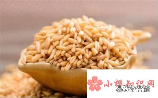 哪些食物可以帮助回奶