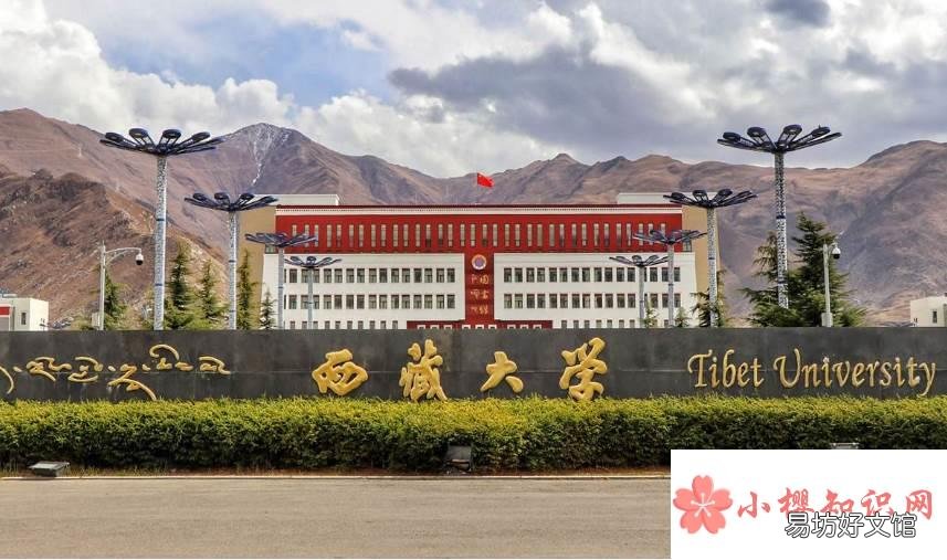 研究生录取率最高的大学有哪些?