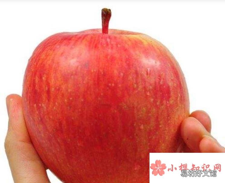 有哪些方法可以辨别苹果好不好吃?