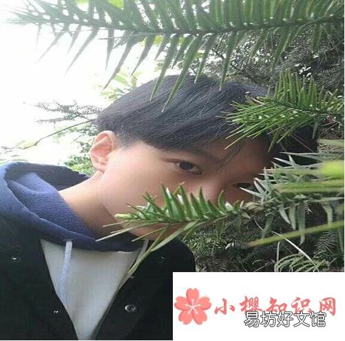 在女生眼里怎样才算帅