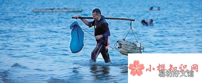 大海是渔民的什么？