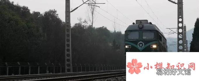 t開頭的火車是什么車？