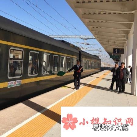 t開頭的火車是什么車？