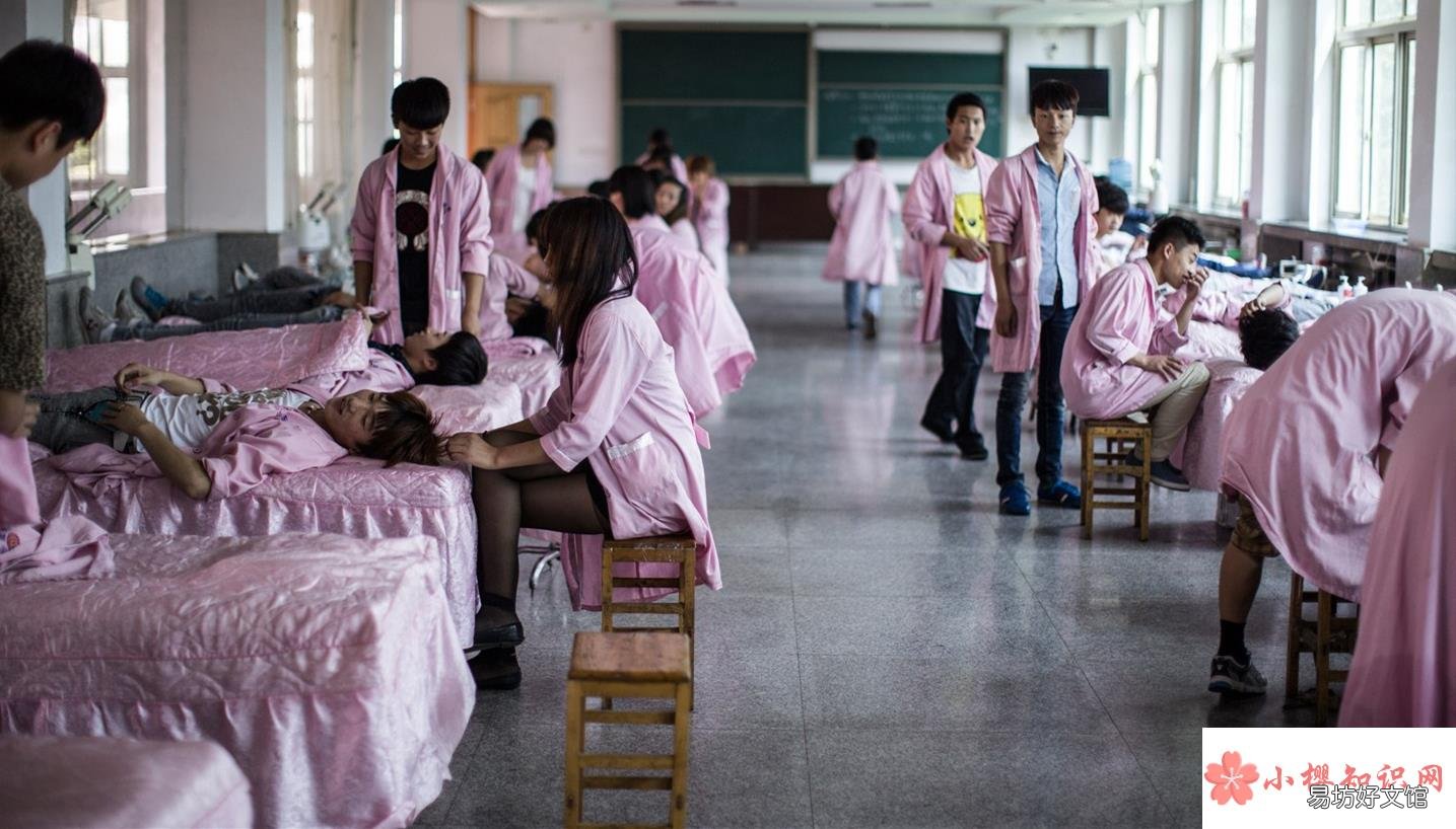 職高和技校有什么區別？哪個好？