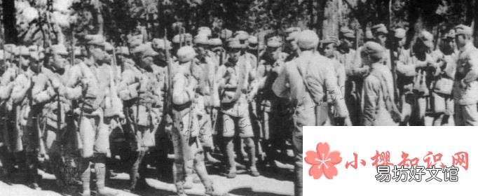 一个纵队有多少兵力？