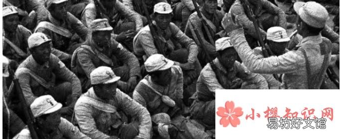 一个纵队有多少兵力？