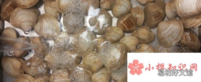 花蛤吐沙最快的方法是什么？