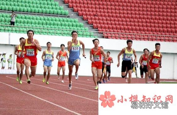 田径运动包括哪些?