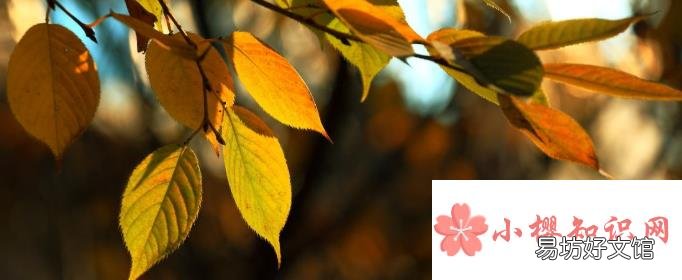 早立秋凉飕飕晚立秋热死牛什么意思？