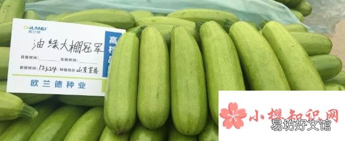 北瓜是什么瓜？