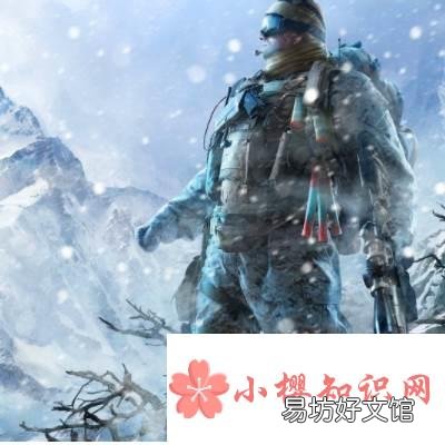 唐广叶婉小说叫什么名字？