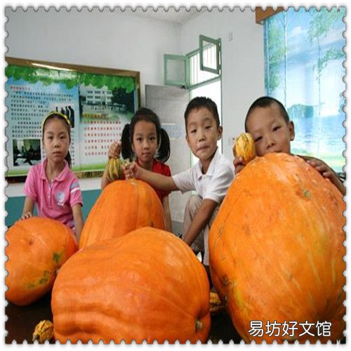 少年励志的诗句 关于少年有志的诗句
