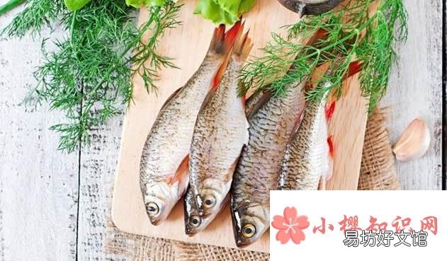 柿子不能和什么食物一起吃?