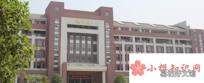 一学期是几个月?