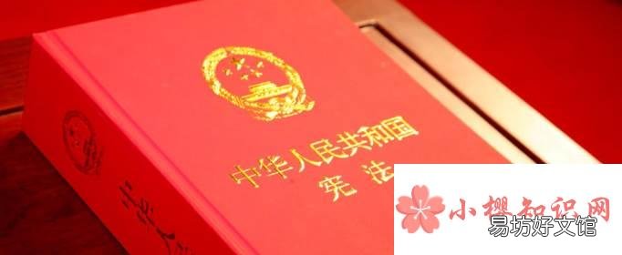 什么必须以宪法为根本的活动准则?