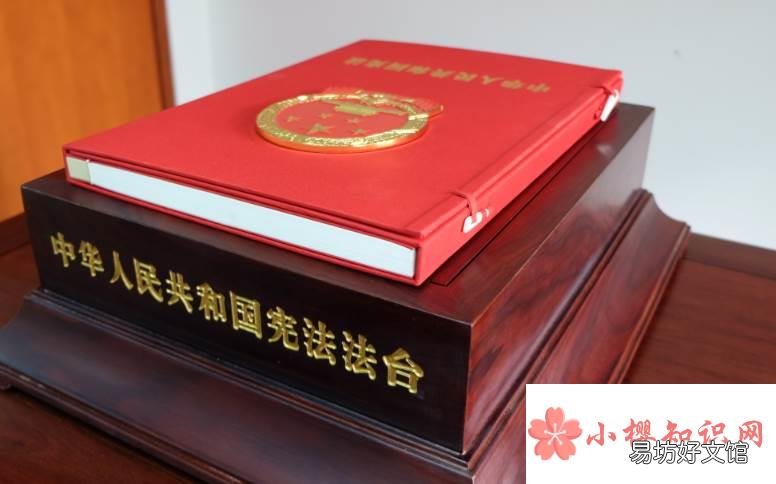 什么必须以宪法为根本的活动准则?