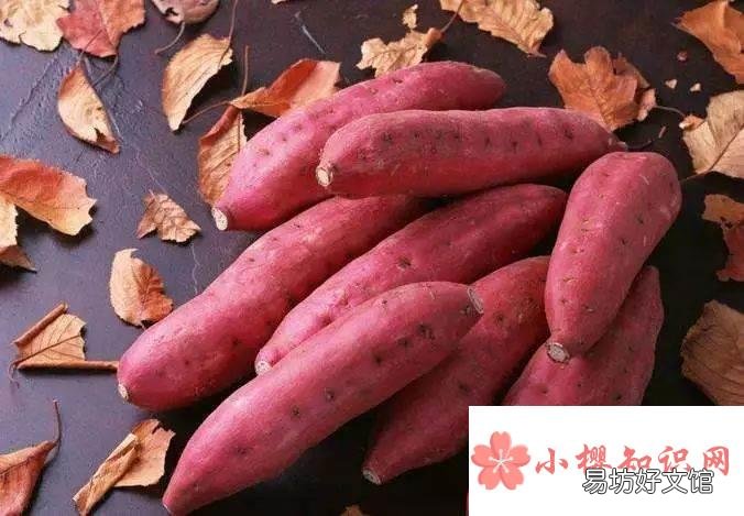 柿子不能和什么东西一起吃?