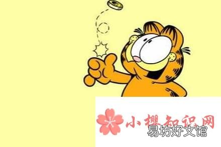 《加菲猫》中的主角是一只什么颜色的猫?