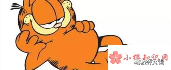 《加菲猫》中的主角是一只什么颜色的猫?